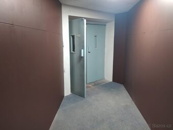 SLADOVACI KOJI PLZEN. - 6