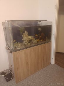 akvárium s vybavením 120x60x60 - 6
