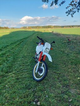 Yamaha XT 600 Z Tenere - 6
