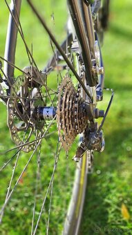 Elektrokolo Leaderfox - 6