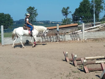 Appaloosa klisna z prověřeného původu - 6