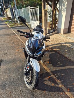 TRIUMPH STREET TRIPLE 765 R 2024 - 6