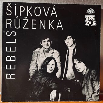 Prodám LP desky, převážně české, slovenské (4) - 6