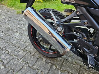 Kawasaki Ninja 250R - 6