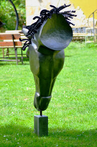 Hlava koně - 6