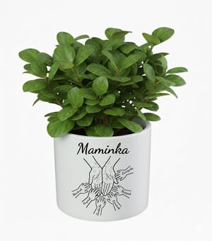 Květináč - Maminka a děti - 6