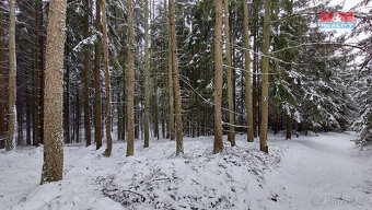 Prodej lesa, 60981 m², Česká Třebová - Svinná - 6