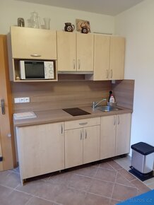 Nabízím k pronájmu zařízený apartmán ve Starém Plzenci - 6