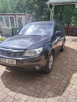 Forester - 6