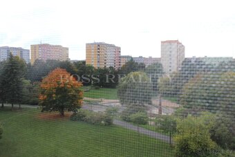 Prodej bytu 2+kk 49 m² Stanko Vodičky, Plzeň - 6