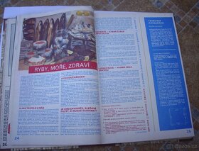 Praktická žena ročník 1976-nostalgie - 6