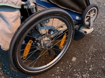 Thule Chariot CX2 - 6