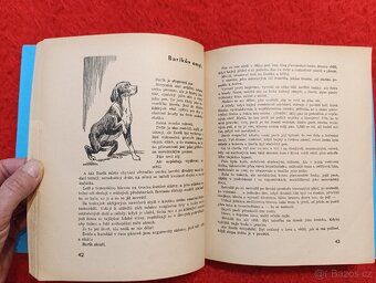 CESTOU A CESTIČKOU - J.H.Týnecký - 6