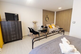 Byt 1+1, cihla, 40 m², Nový Malín (kompletně vybaven) - 6