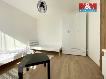 Pronájem bytu 1+1, 35 m², Brno, ul. Palackého třída - 6