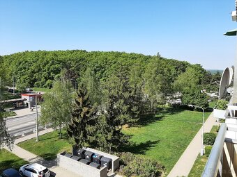 Prodej krásného 3+1 po rekonstrukci 76,4 m v Kohoutovicích - 6