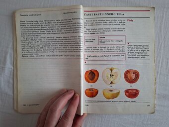 Přírodopis pro 5. ročník ZŠ (1988) - 6