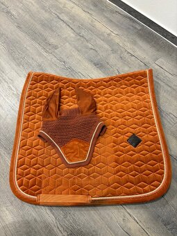 Kentucky, Lemieux, Zandona atd - 6