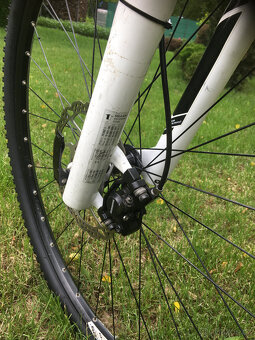 SCOTT Scale 960, 29", vel. L - 6