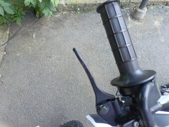 BUFFLER D125Y - PITBIKE - 6