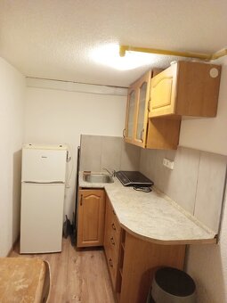 Byt 1+1 (cca. 45 m2)+ zahrada (700 m2), Slovany, Plzeň - 6