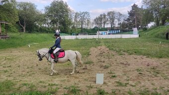 Prodej pony s TOP povahou - 6