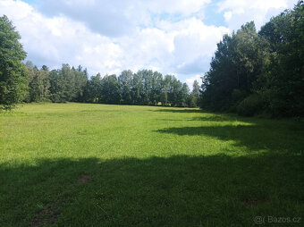 Zemědělská půda Popelín - Jindřichův Hradec - 6