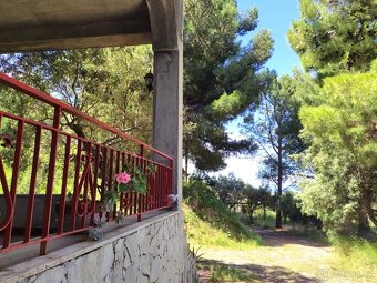 Sicílie, vila 2 byty, 255 m2, poz. 1.755 m2, Pace del Mela - 6