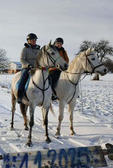 BOXOVÉ USTÁJENÍ PETROVICE / Blansko - 6