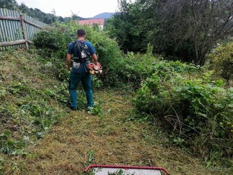 Sekání trávy zástřih živých plotů frézování pařezů - 6
