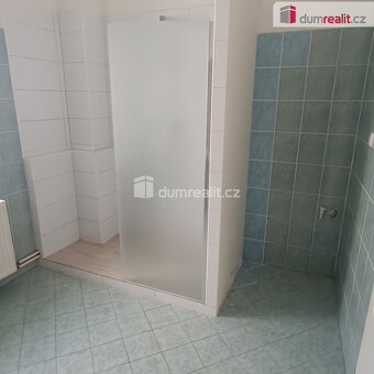 Pronájem bytu 1+1 po rekonstrukci, u. Děčínská,  Benešov nad - 6