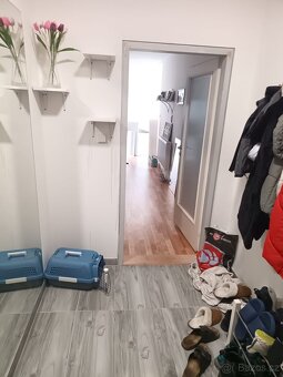 Pronajmu 2+1 v Aši - 6