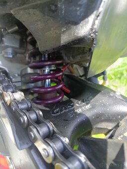GasGas txt300 Adam Raga Special 2012 s3 - 6