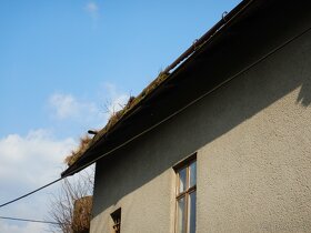 Dům k rekonstrukci - Březová - Gručovice - 6