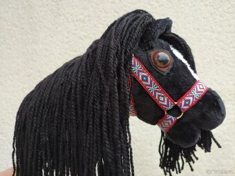 Hobby horse - 6