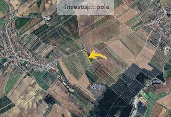 Prodej ovocného sadu v k.ú. Šardice - 6