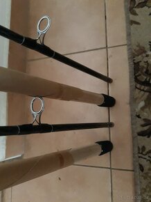 Prut Cat 300cm 300gr - 6