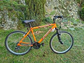 Kolo Author Outset 2007 - 6