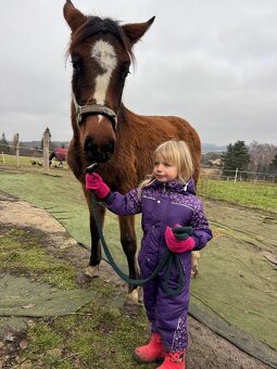 ČT klisnicka k prodeji - 6