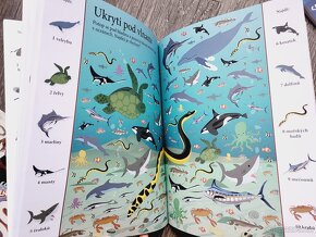 Zvířata - Hledej a najdi - 6