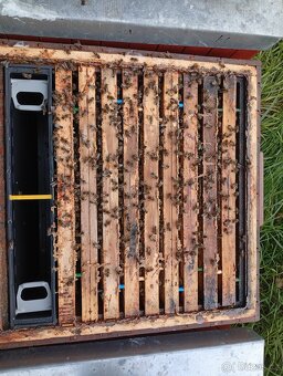 Vyzimované oddělky - 6