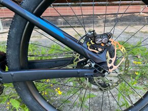 Trek PowerflyLT fs8+ - 6