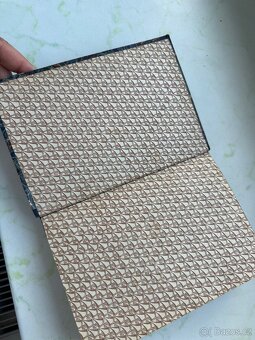 Kniha Poslední Romanovec z roku 1919 - 6