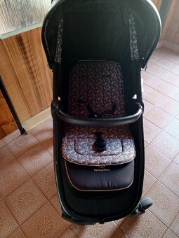 Petite & Mars street Limited 100 - 6