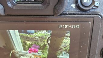 Nikon Z7II - 6