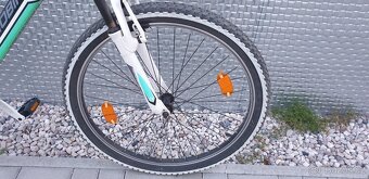 Predam horske kolo Tecnobike - 6
