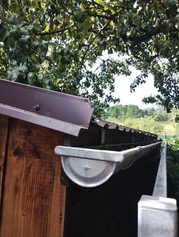 Kralikarna, kotce. - 6