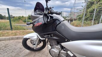 Suzuki XF 650 Freewind - 6