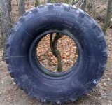 Pneu Michelin X pilote XL 13,00 R 20 ( 14,75/80R20 ) offroad - 6