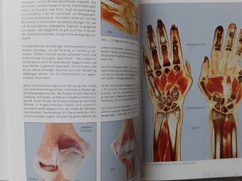 Výstavní katalog KÖRPERWELTEN-Prof.G.HAGENS - 6